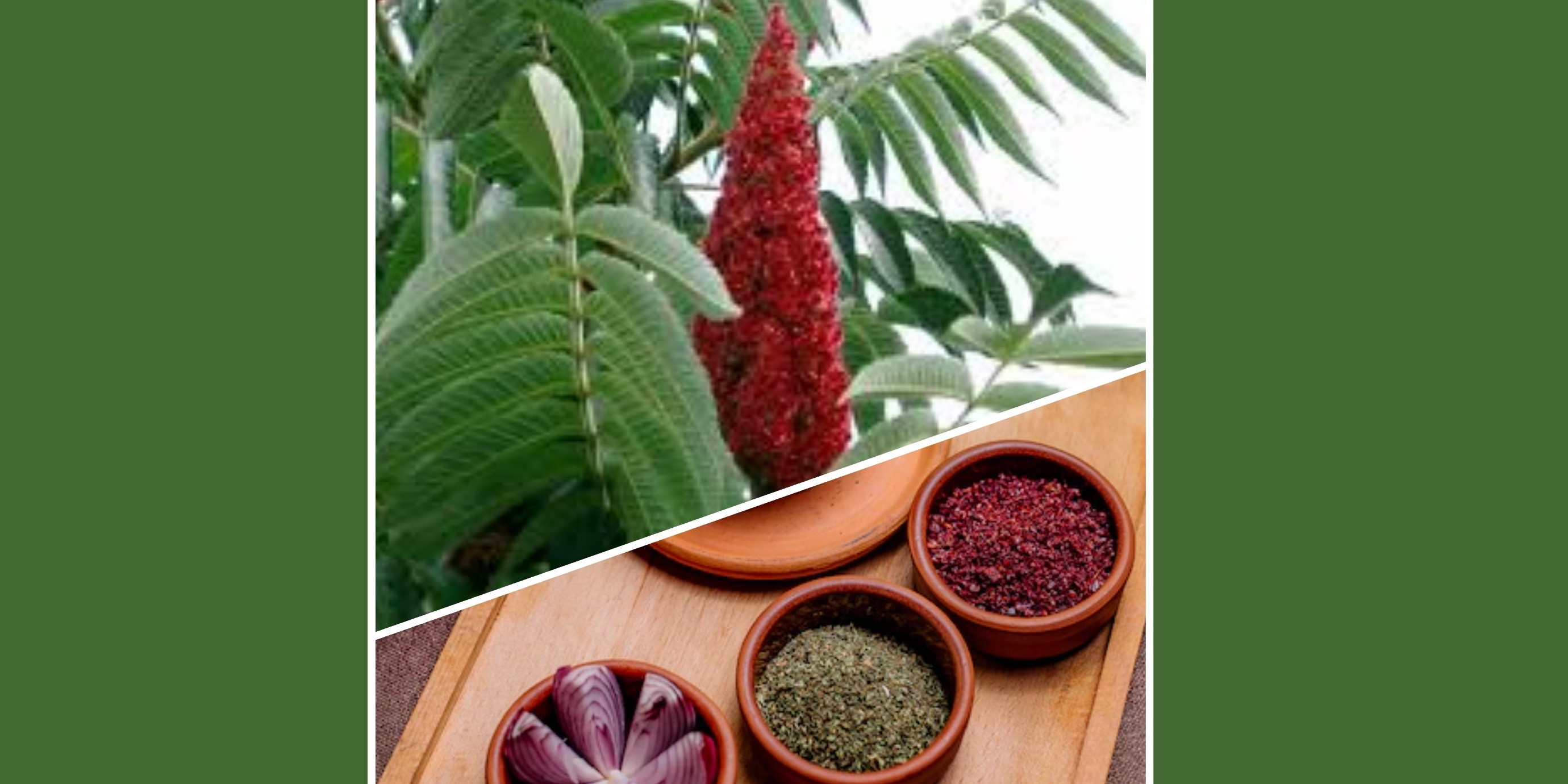 Sumac : Épice méditerranéenne aux antioxydants